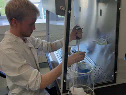 Inoculating the agar plates or nutrient solutions with bacteria and bacteriophages (team colleague Nikola Vinko)