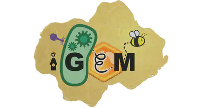 iGEM NAWI Graz 2019 Logo
